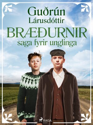 cover image of Bræðurnir